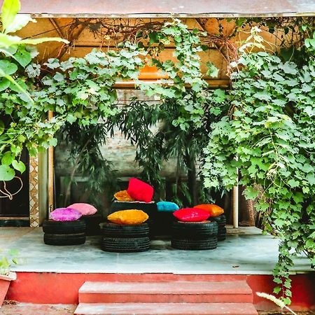 Farmstay - Capsule Den New Delhi Eksteriør billede