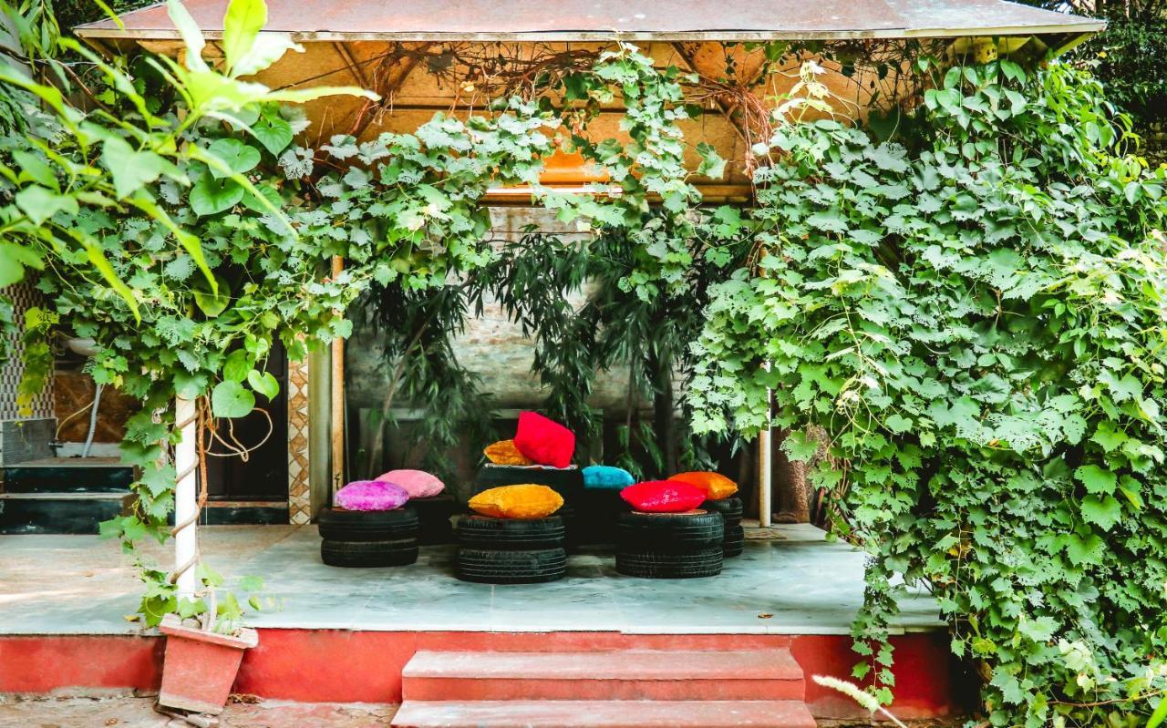Farmstay - Capsule Den New Delhi Eksteriør billede